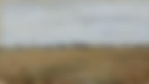 Landscape from Virum Near Frederiksdal, Summer (Landskab fra Virum ved Frederiksdal, sommer) (preview)