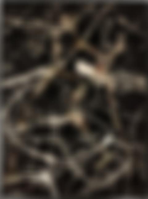 Untitled (preview)