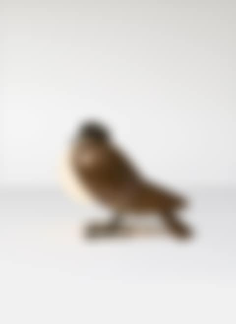 Lampe « Pigeon » (preview)