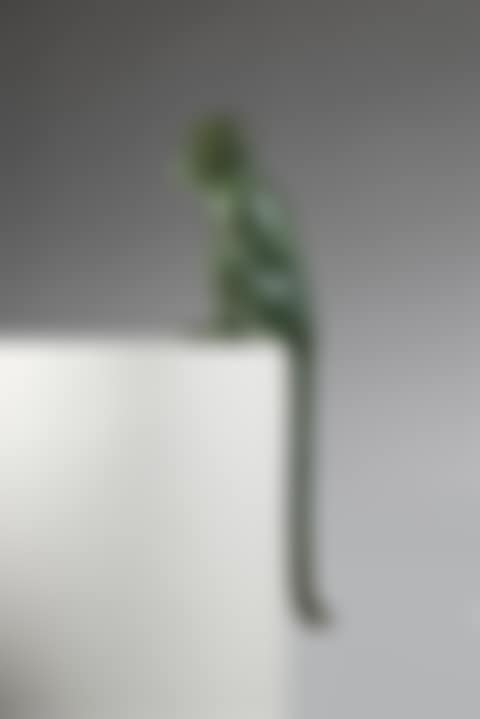Singe attentif II (preview)