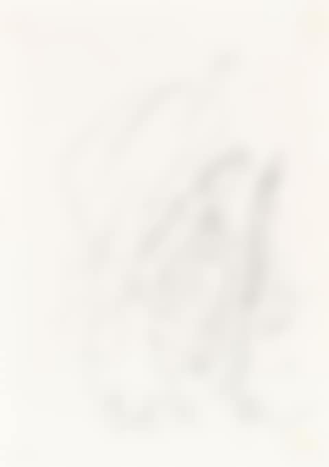 13.2.1986 (1) (preview)