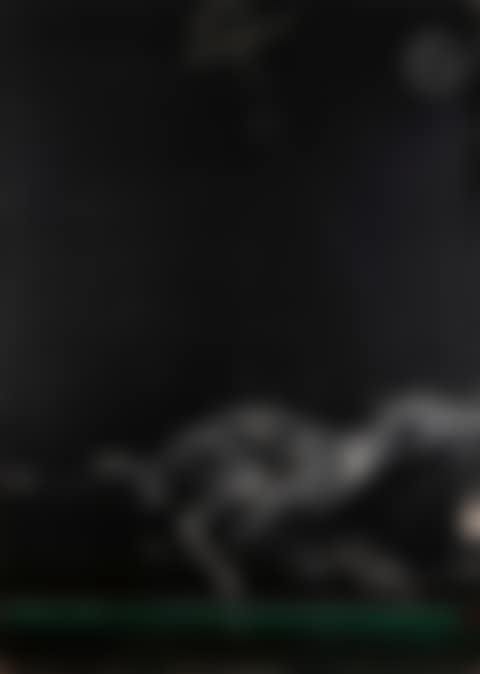 Dog, fig. 1 (preview)