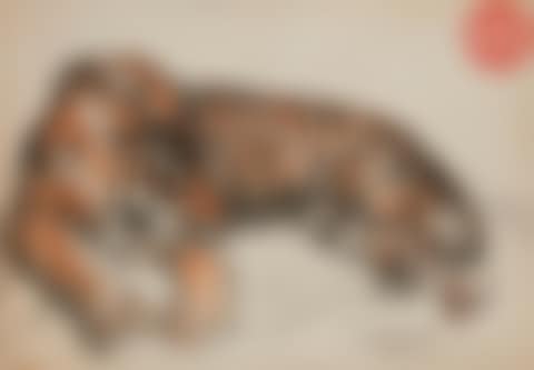 Tiger (preview)