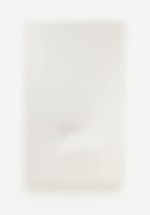 A white oval (preview)