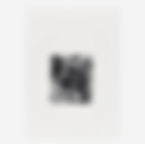 Untitled (SFE-002) (preview)