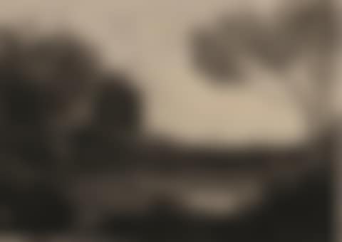 LE PARC AUX BŒUFS (preview)