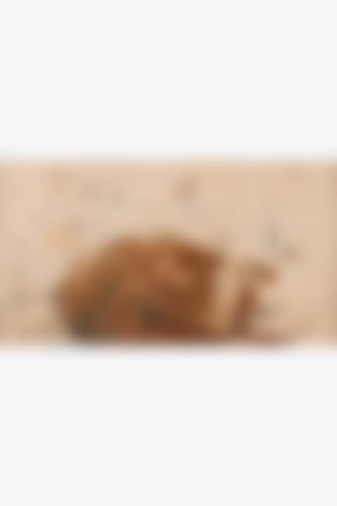 Grand Ovale (Allure d"Objet) (preview)