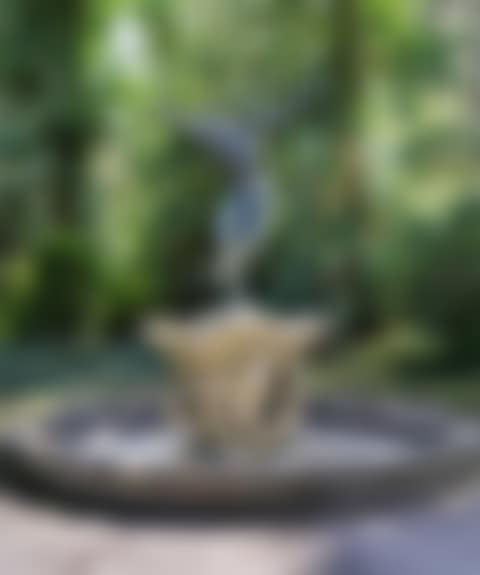 ”Tänzerinnen-Brunnen” (preview)