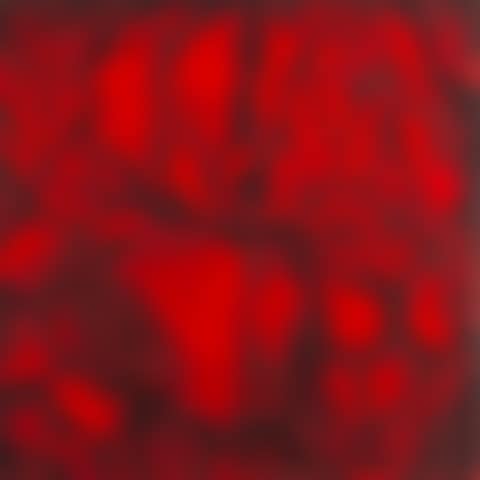 "Irises in red" (preview)