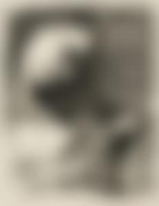 Jacqueline lisant (preview)