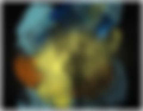 T1971-R25 (preview)