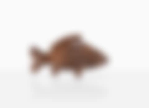 Petite Carpe (preview)