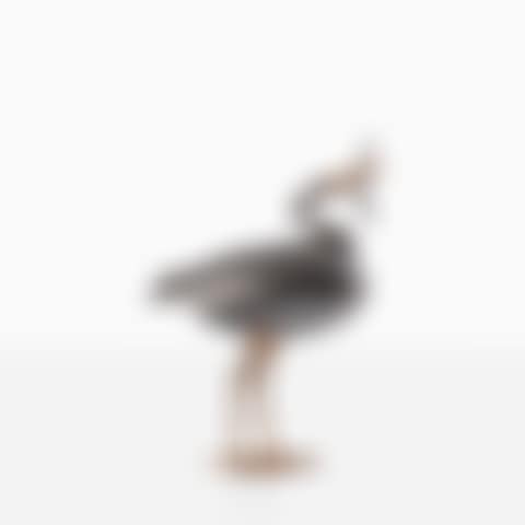 Oiseau de Pauline (preview)