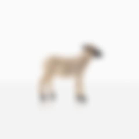 Agneau, from the Nouveaux Moutons series (preview)
