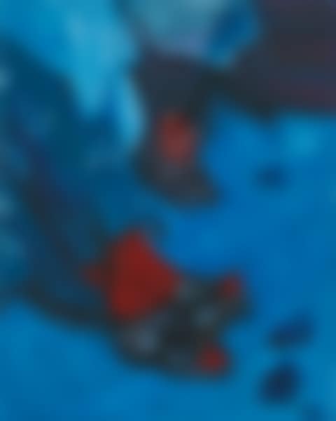 Red Flower Boot (preview)