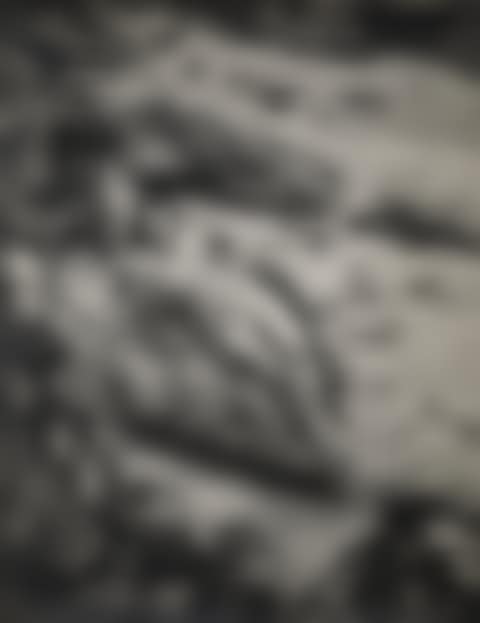 Ady à la mer (preview)