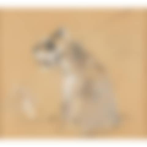 SCHNAUZER CALLED RONNIE (preview)