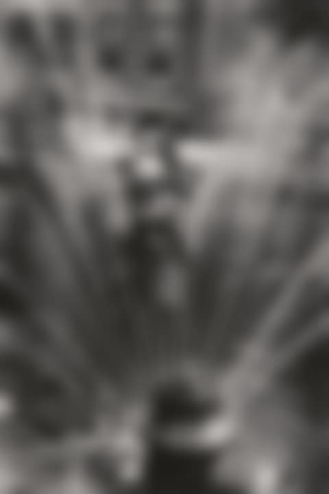Hydrant, Harlem, New York (preview)