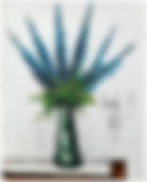 Delphiniums bleus (preview)