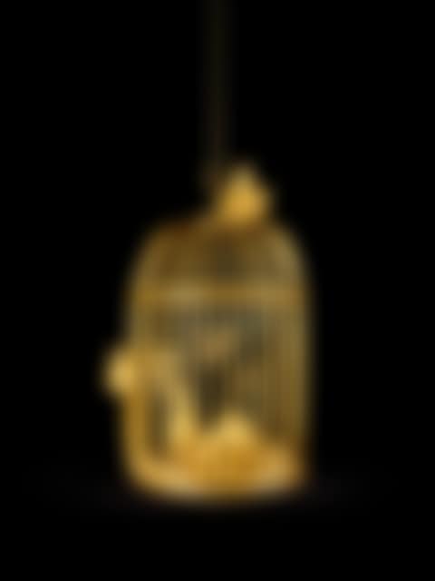 Butterflies (preview)