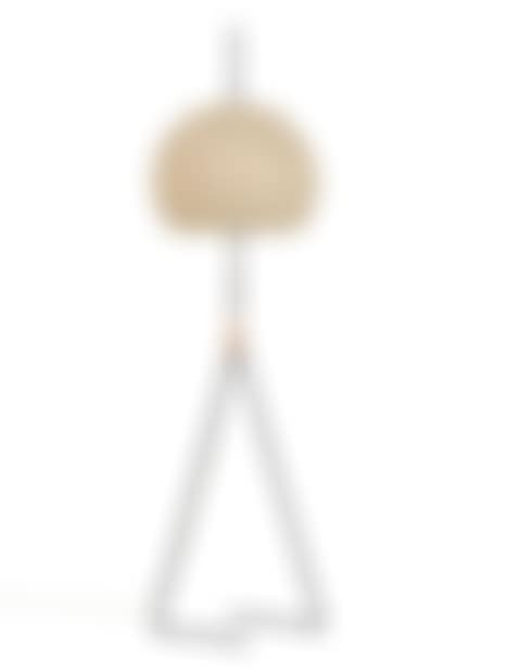 “Fliegenbein”; Model 2116 (preview)