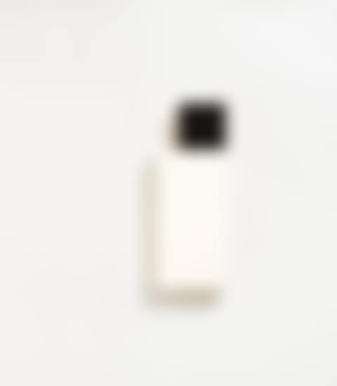 Pinguin (preview)