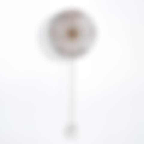 Untitled (Dandelion) (preview)