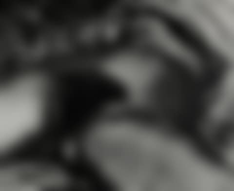 L'Origine du Monde after Courbet  from  Pictures of Soil (preview)