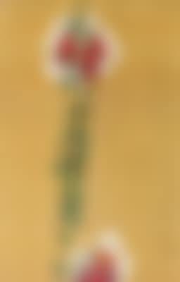Roter Fingerhut (preview)