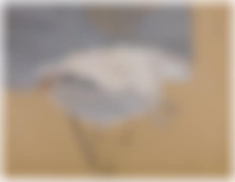 Dead Bird on a Bamboo Table (preview)