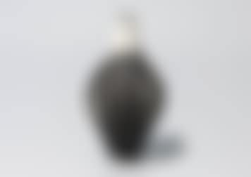 Flower vase (preview)