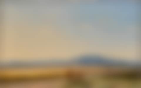 Horse and cart in a cornfield (preview)