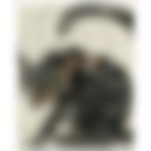 Silver cat (preview)