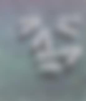 Concerto, face (preview)