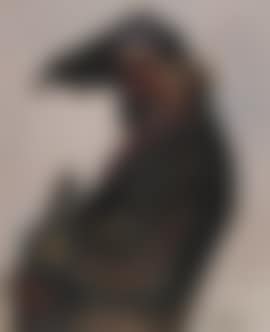 Banjo player (preview)