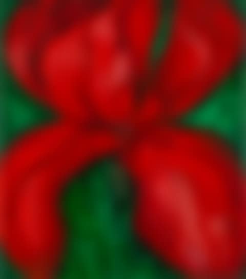 "Red iris with green leaves" (preview)