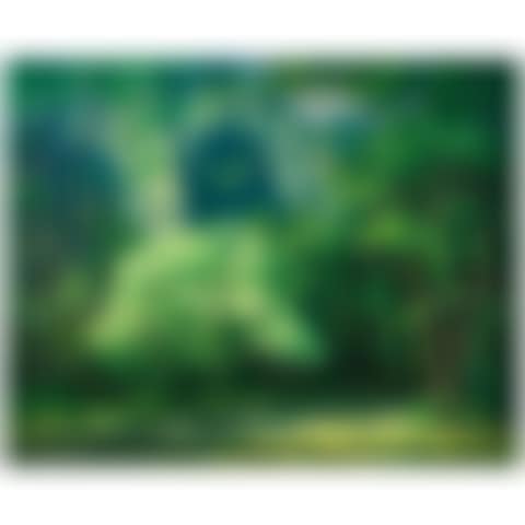 Old Pali Road, Oʻahu (preview)