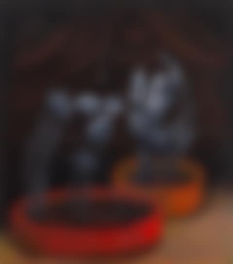 Teatrum Silencio (preview)