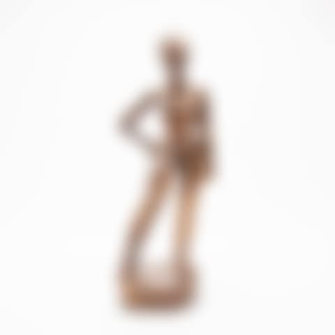 Model (preview)