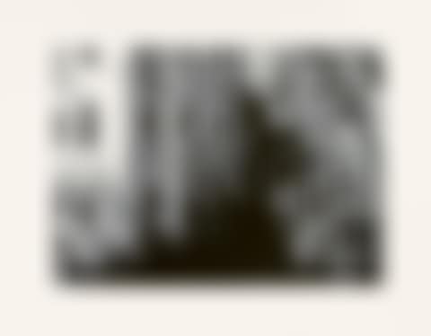 Occupied house (preview)