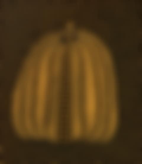Pumpkin (2) (preview)