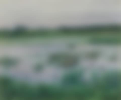 Pond of Iris (preview)