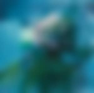 Kew (preview)