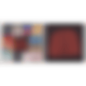 SHANGHAI EXPO SILK SCARF (preview)