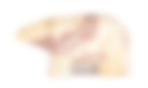 Niedzwiedz (preview)