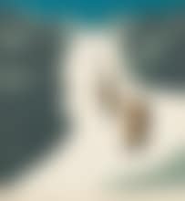 Hakuba Daisetsukei (preview)