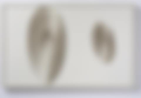 Repulsion (preview)