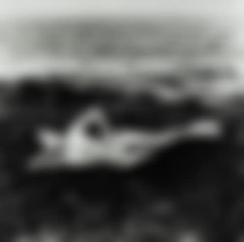 Nude on Seaweed, Saint Tropez (preview)