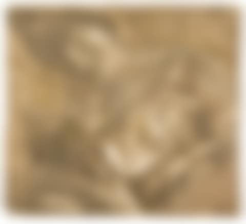 Maternité (preview)