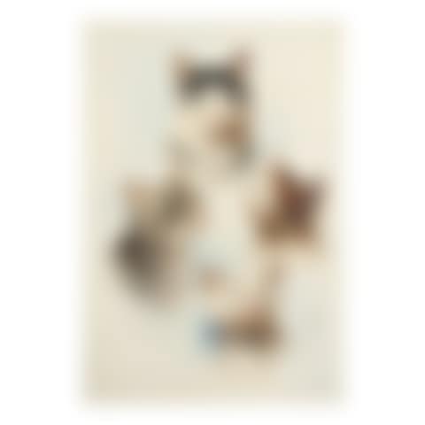 Cute Cats (preview)